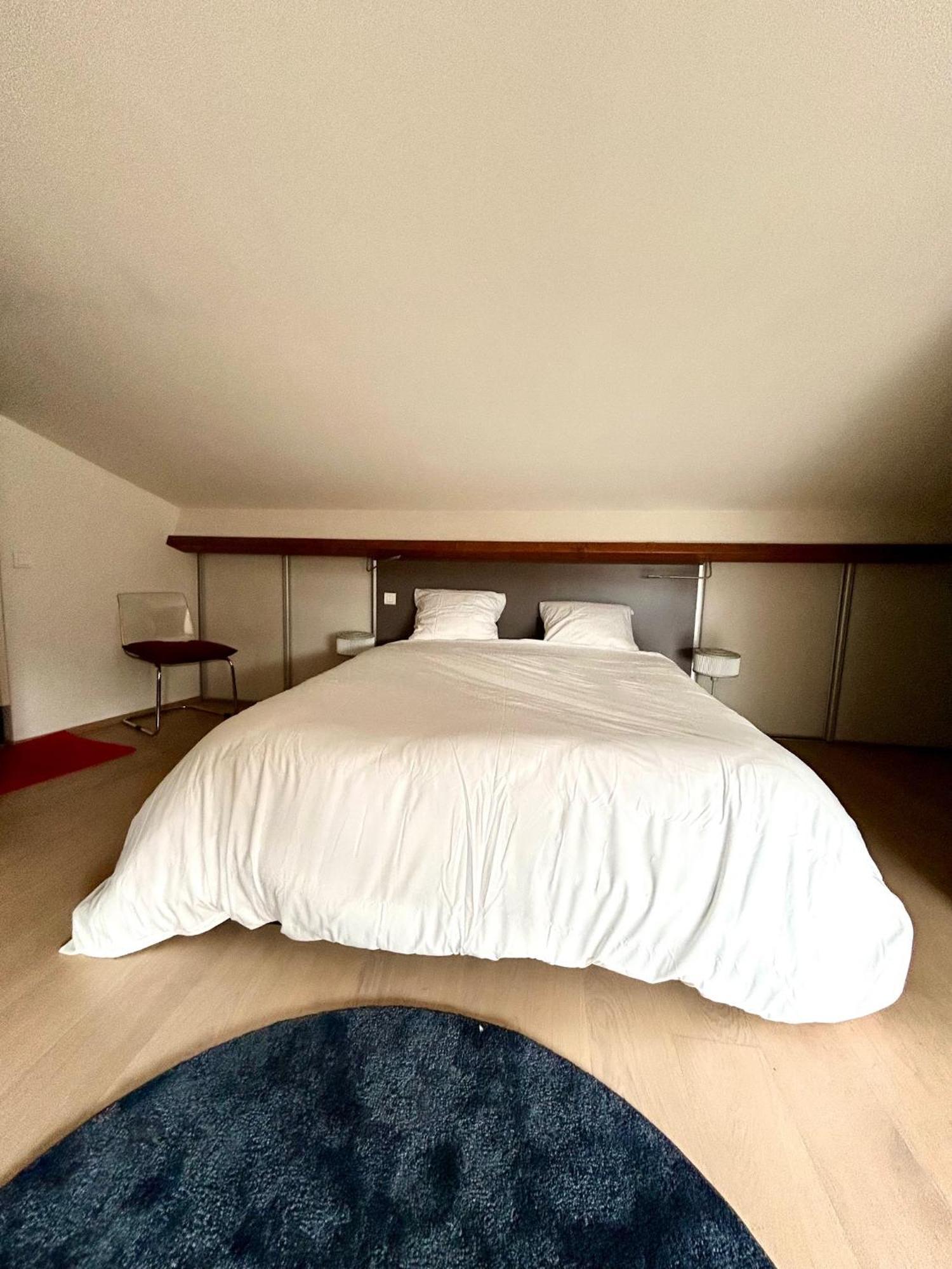 Loft Garonne - Centre Ville Immeuble Privatif 圖盧茲 外观 照片